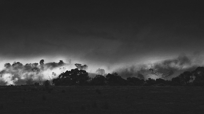 Australian-bush-with-fog